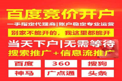 短视频平台的SEM推广实践与效果